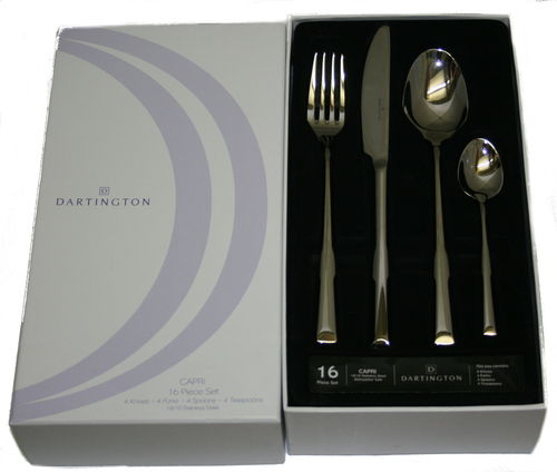 Dartington Capri 16 piece cutlery set